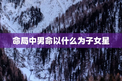 命局中男命以什么为子女星