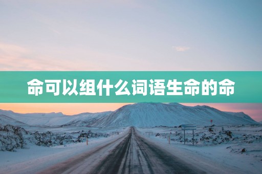 命可以组什么词语生命的命