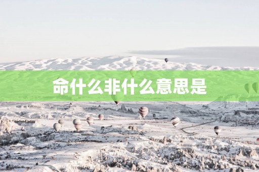 命什么非什么意思是