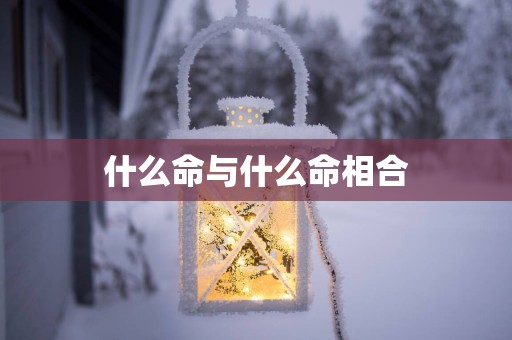 什么命与什么命相合