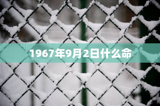 1967年9月2日什么命