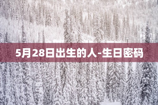 5月28日出生的人-生日密码