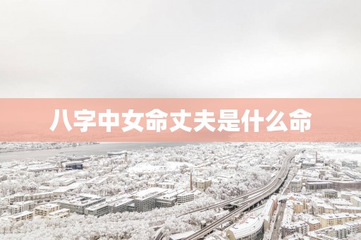 八字中女命丈夫是什么命