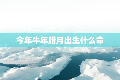 今年蛇年腊月出生什么命