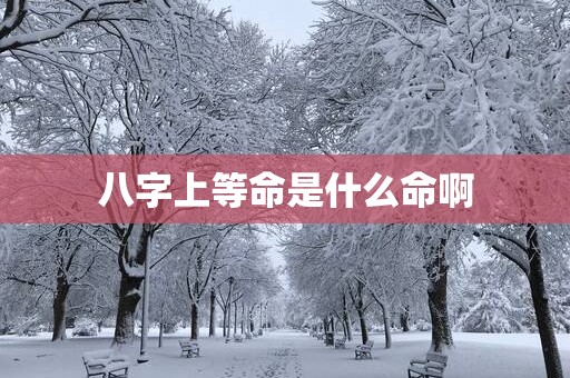 八字上等命是什么命啊