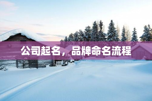 公司起名，品牌命名流程