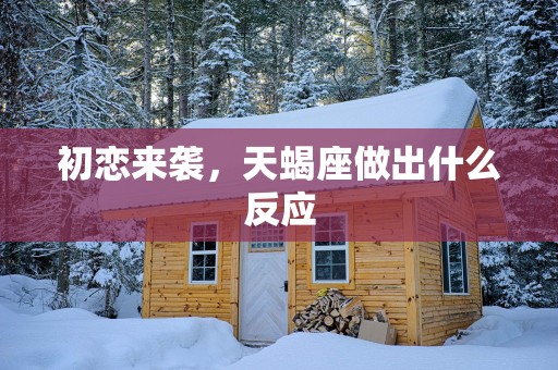 初恋来袭，天蝎座做出什么反应