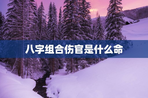 八字组合伤官是什么命