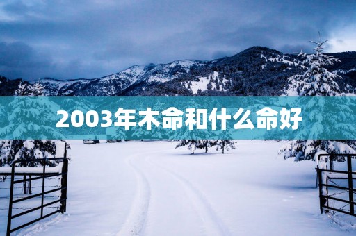 2003年木命和什么命好