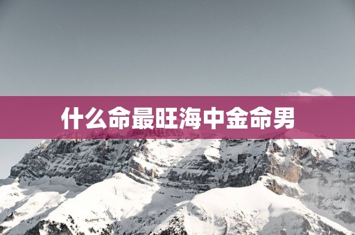什么命最旺海中金命男