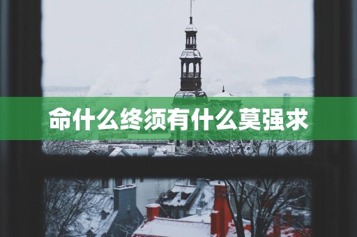 命什么终须有什么莫强求