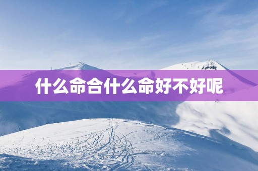 什么命合什么命好不好呢