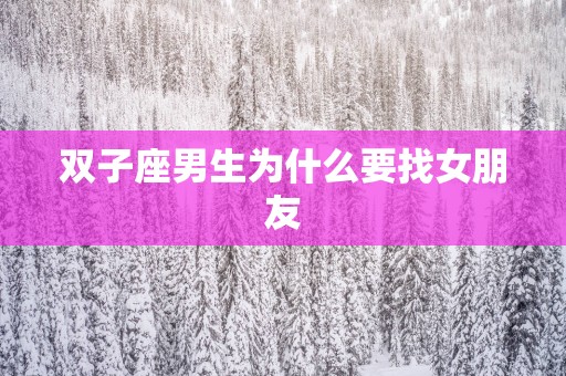 双子座男生为什么要找女朋友