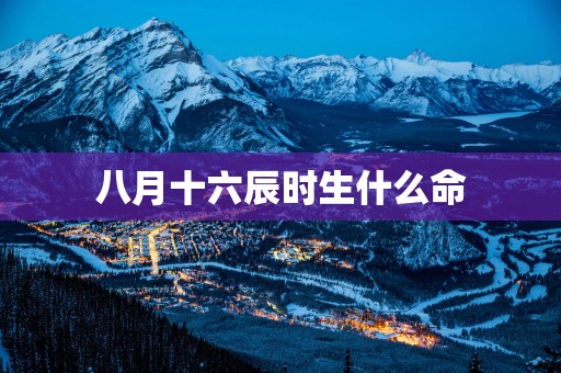 八月十六辰时生什么命