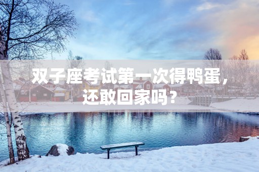 双子座考试第一次得鸭蛋，还敢回家吗？