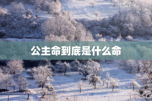 公主命到底是什么命
