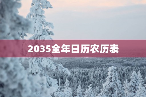 2035全年日历农历表