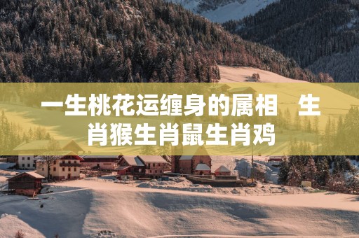 一生桃花运缠身的属相   生肖猴生肖鼠生肖鸡