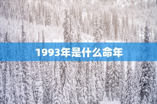 1993年是什么命年