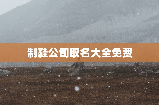 制鞋公司取名大全免费