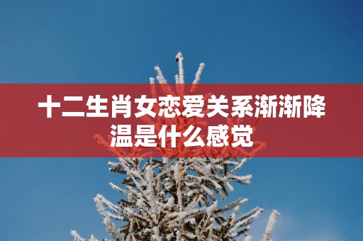 十二生肖女恋爱关系渐渐降温是什么感觉