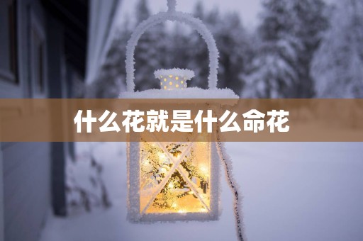 什么花就是什么命花
