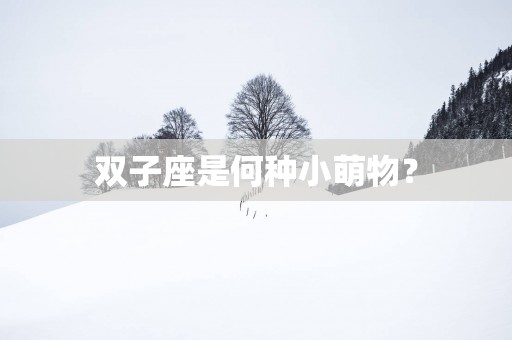 双子座是何种小萌物？