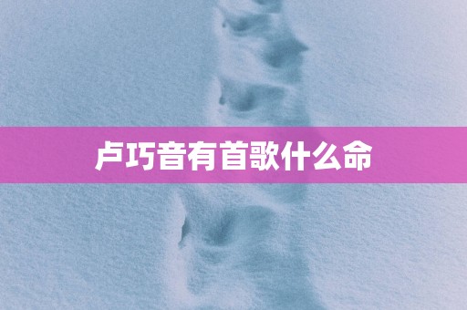 卢巧音有首歌什么命