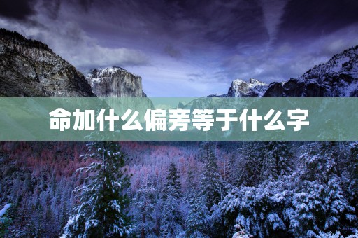 命加什么偏旁等于什么字