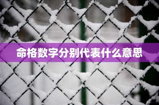 命格数字分别代表什么意思