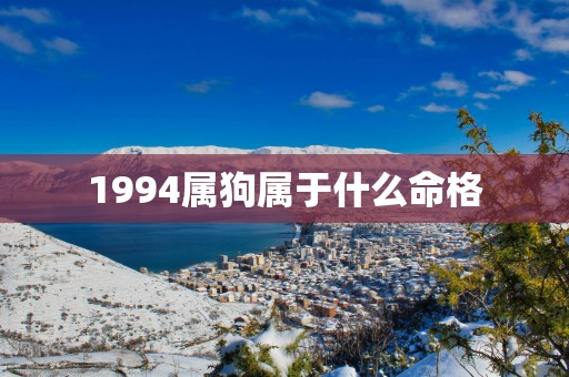 1994属狗属于什么命格