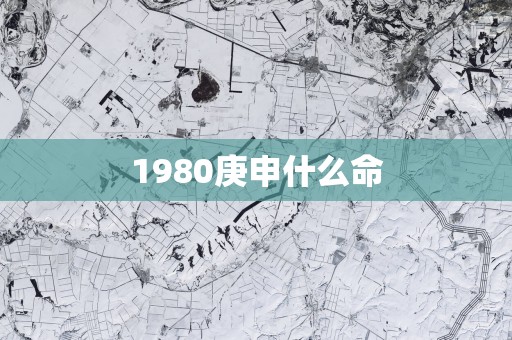 1980庚申什么命