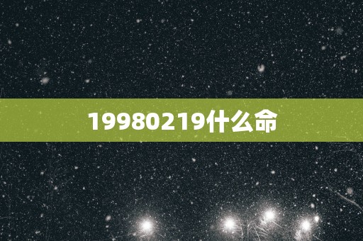 19980219什么命