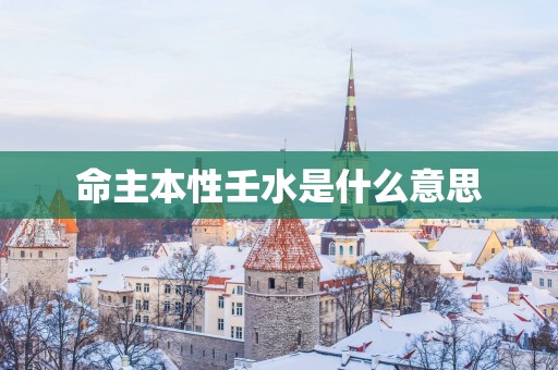 命主本性壬水是什么意思