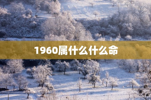 1960属什么什么命