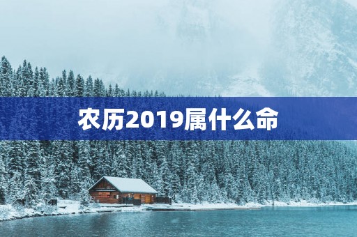 农历2019属什么命