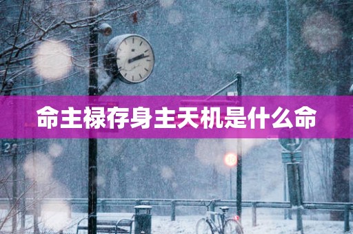 命主禄存身主天机是什么命