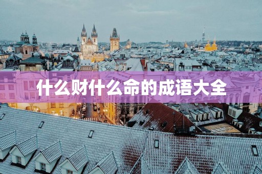 什么财什么命的成语大全