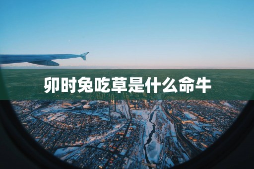 卯时兔吃草是什么命牛