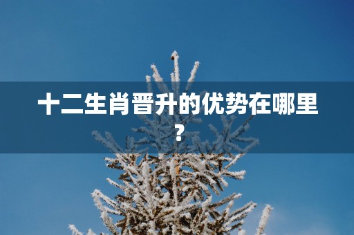 十二生肖晋升的优势在哪里？