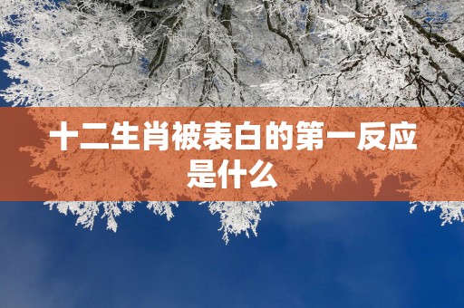 十二生肖被表白的第一反应是什么