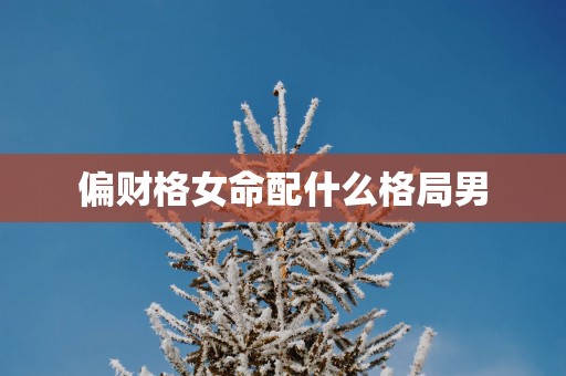 偏财格女命配什么格局男