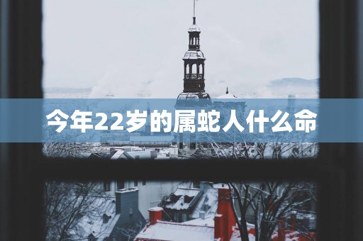 今年22岁的属蛇人什么命