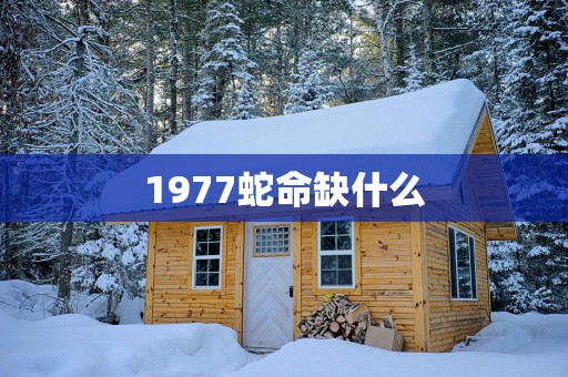 1977蛇命缺什么