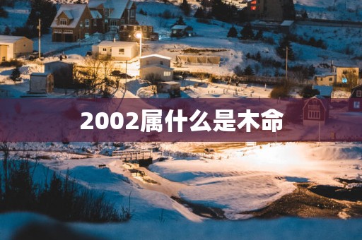 2002属什么是木命