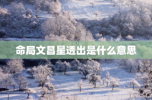 命局文昌星透出是什么意思