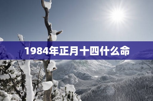 1984年正月十四什么命