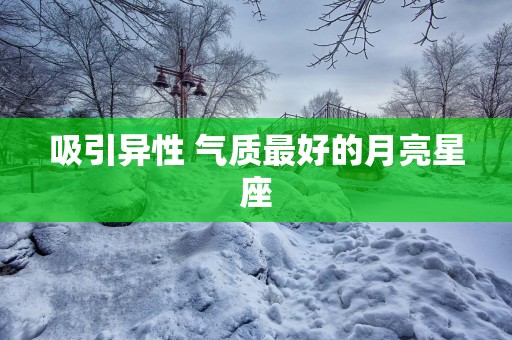 吸引异性 气质最好的月亮星座