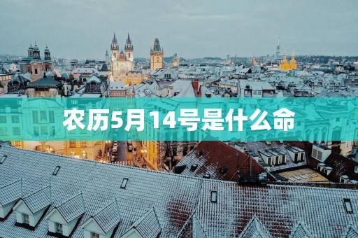农历5月14号是什么命