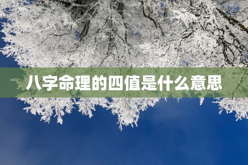 八字命理的四值是什么意思
